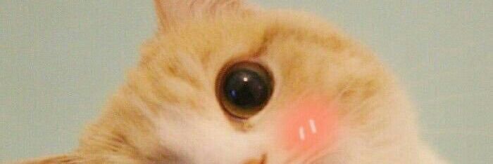 หนูน้อย🔞💦 banner