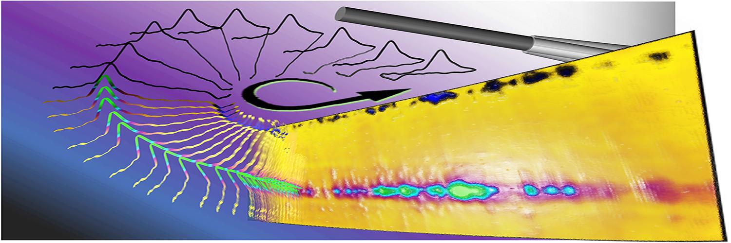 Leslie Sombers banner