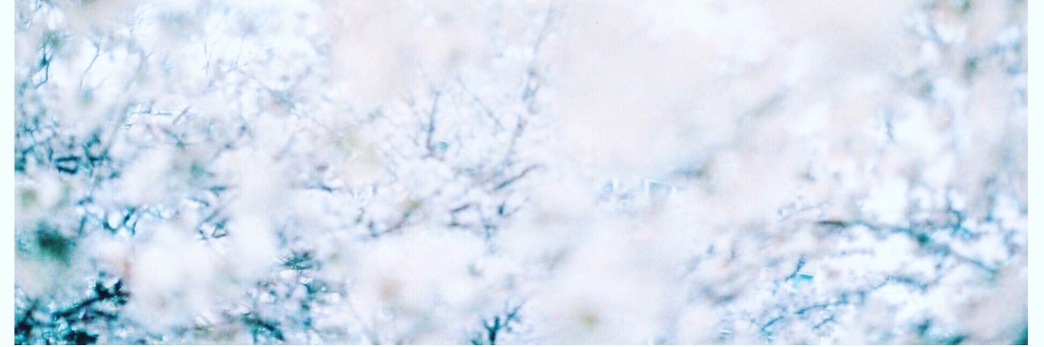 pooomyu's profile banner image