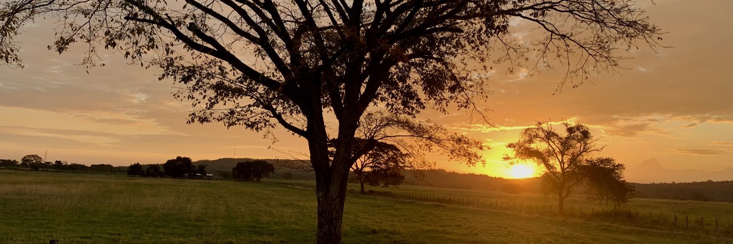 Artinez7's profile banner image