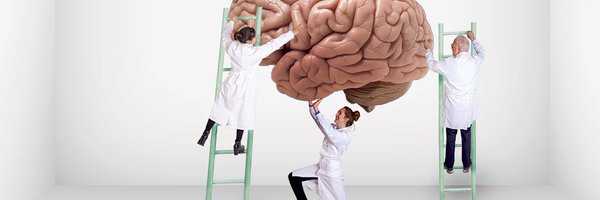 neuroscience_dk Profile Banner