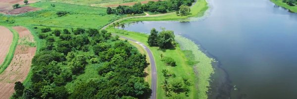 IITAForest Profile Banner