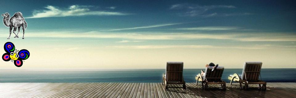 The Weekly Challenge - Perl & Raku banner