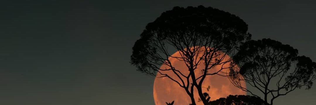 josegamez23's profile banner image