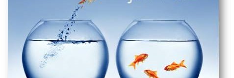 reonmarketing's profile banner image