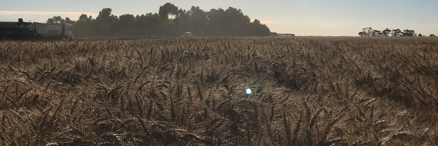 will crawford banner