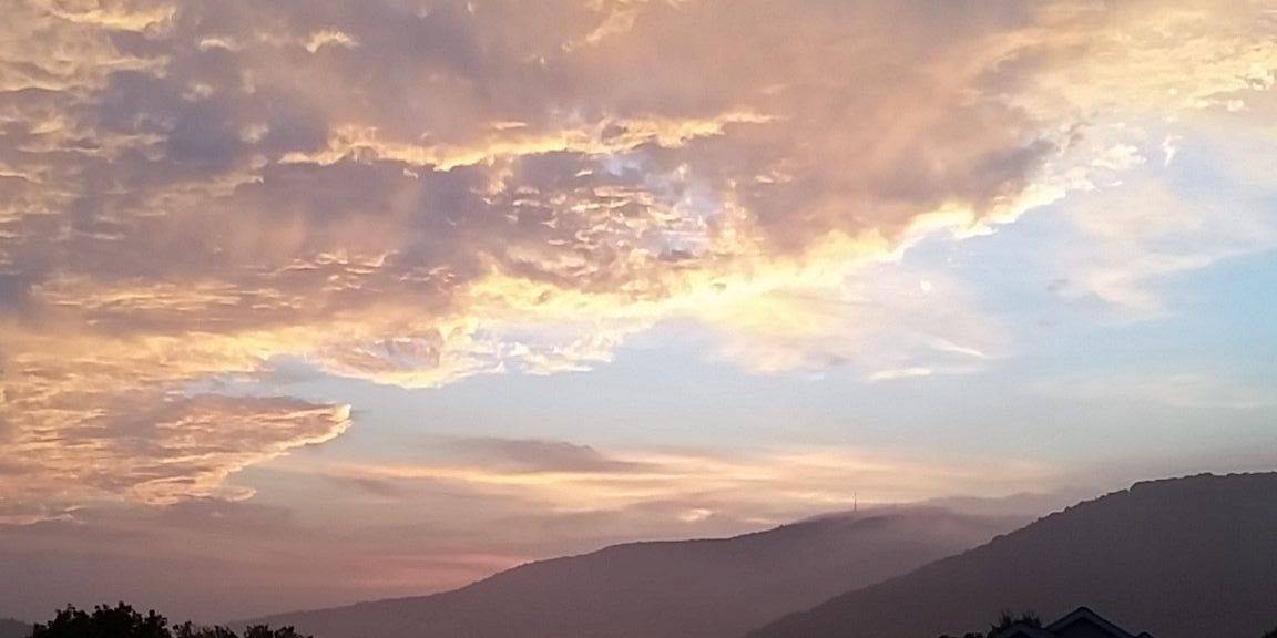 BassfreqBNF's profile banner image