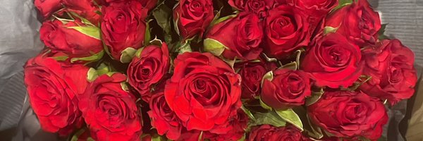 mimiology_ Profile Banner