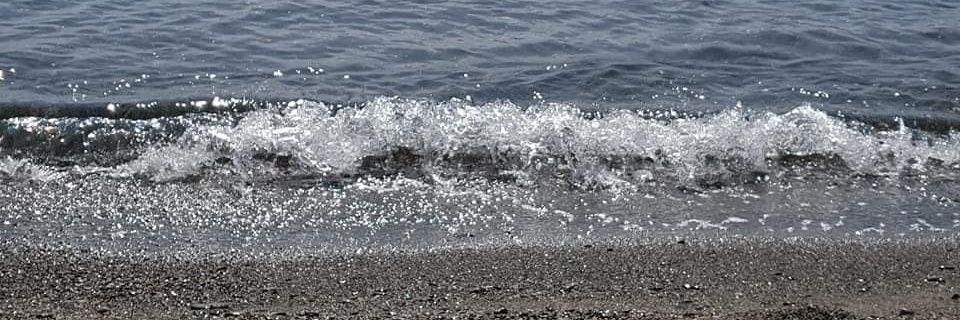 TurRosa's profile banner image