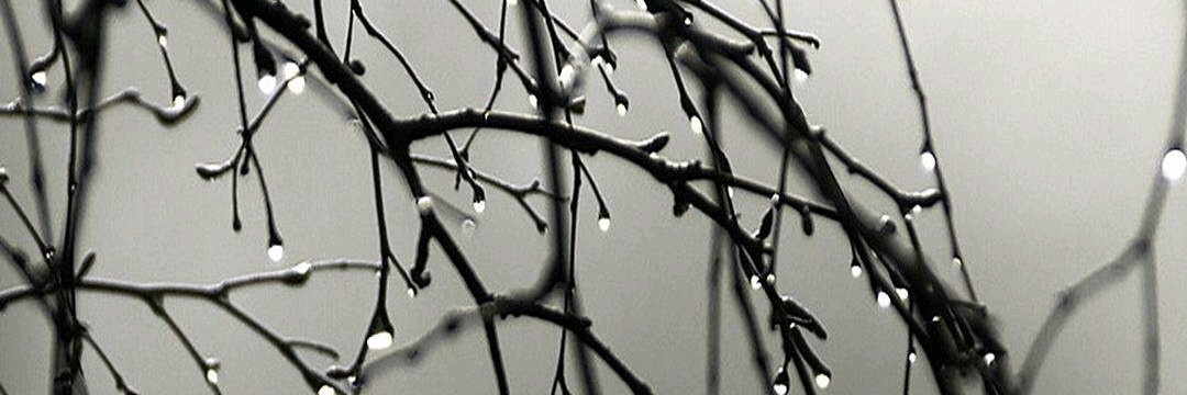 endles05's profile banner image