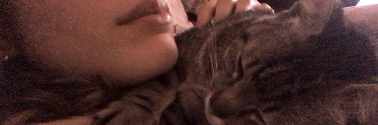 sofialb's profile banner image