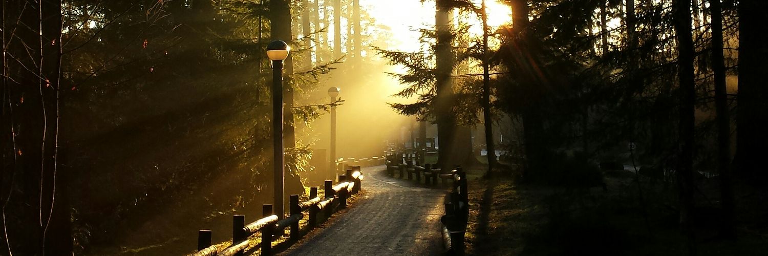 markdanieluk's profile banner image