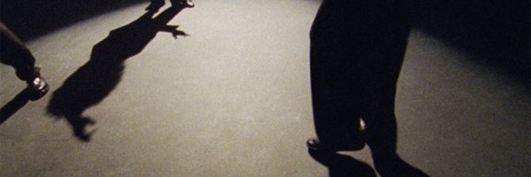 WinnieRaeder Profile Banner