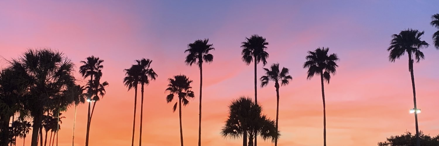 emilly_amato44's profile banner image