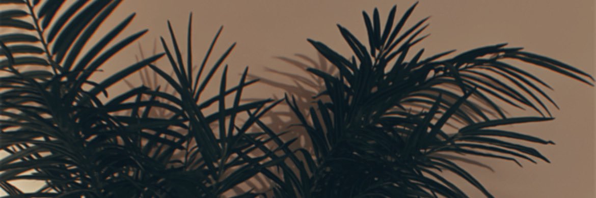 ___Fendii's profile banner image