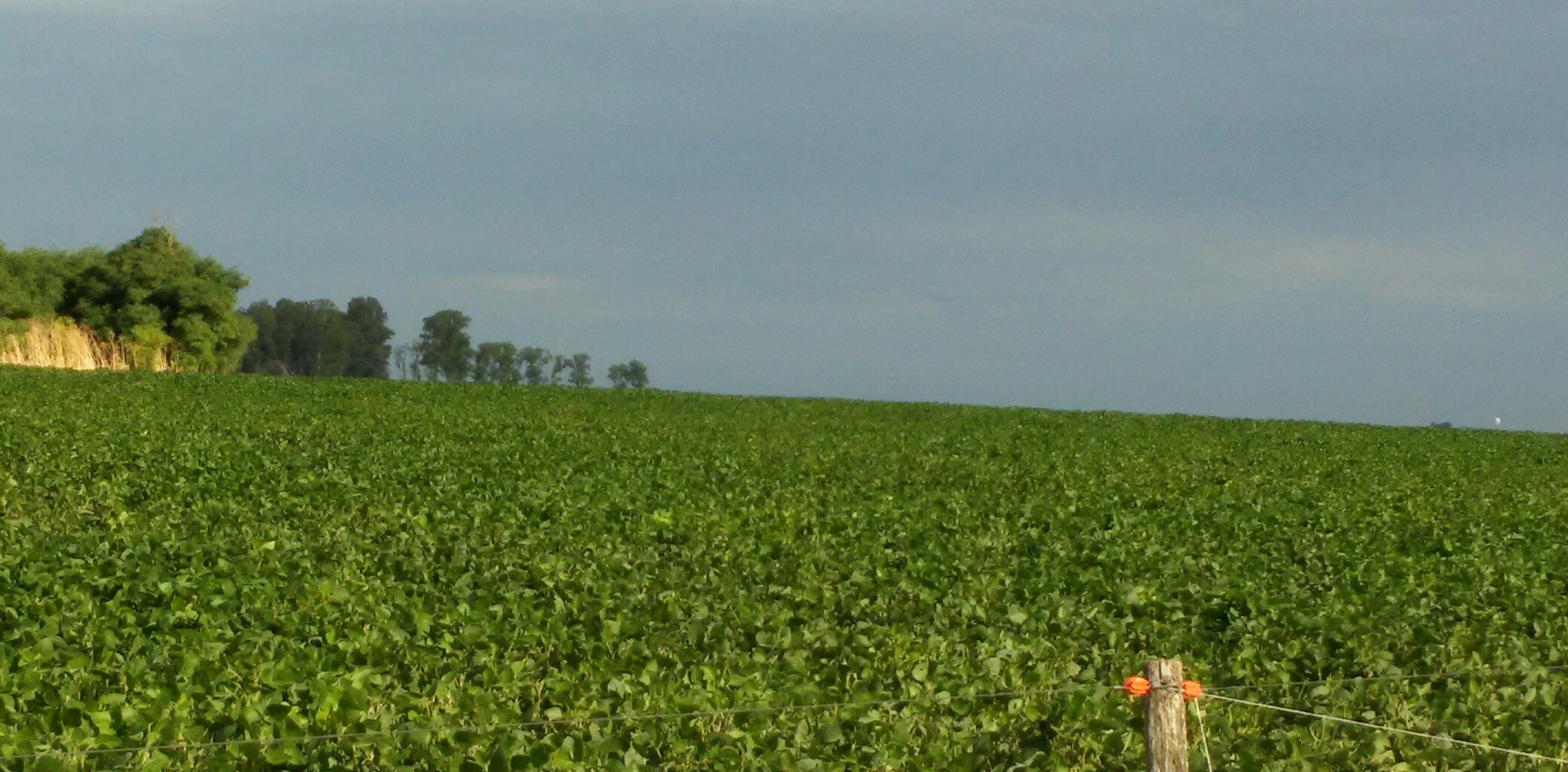 CarlosCH50's profile banner image
