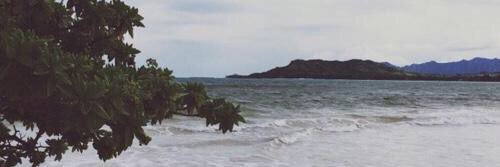 tylerrluff's profile banner image