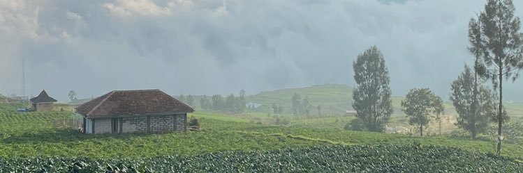 jengeeeeee's profile banner image