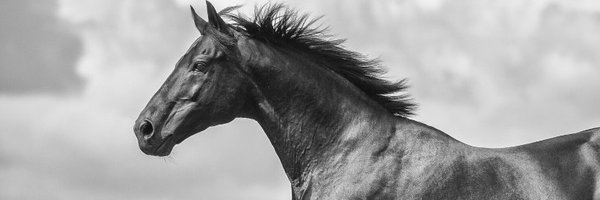 FastTrackPhotog Profile Banner