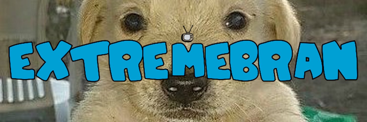 bran banner