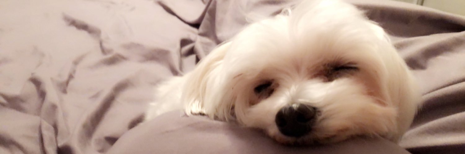 morganhendley2's profile banner image