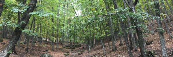 bhuido Profile Banner