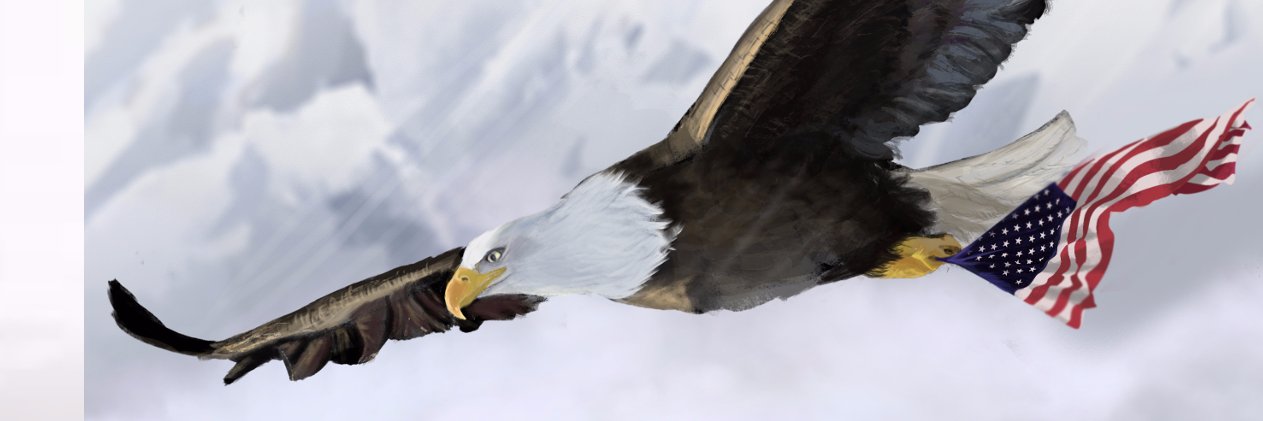 AnnBFeinstein's profile banner image