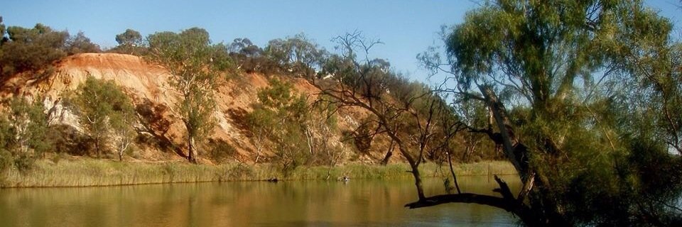 Wellsbec's profile banner image