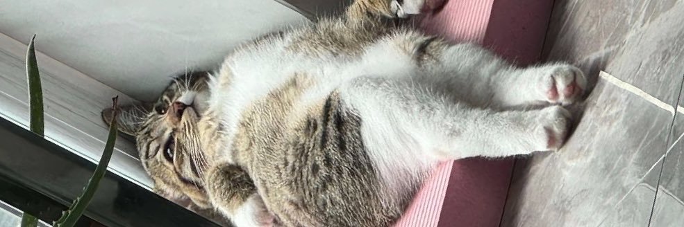 nati_milo_mi's profile banner image