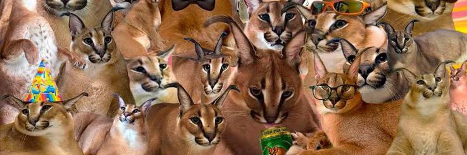 max_00004's profile banner image