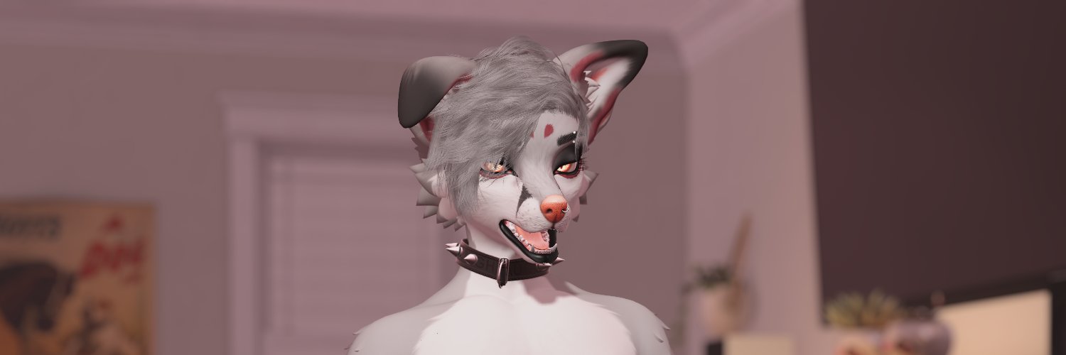 🦊SnowAsh🦊🔞 banner