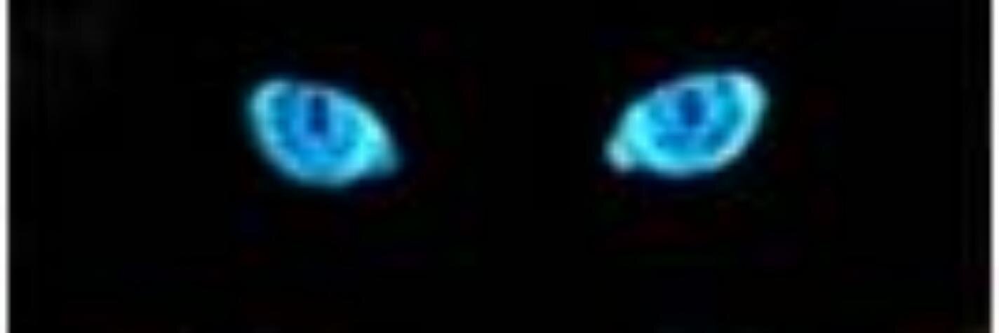TEAL_NOIR's profile banner image