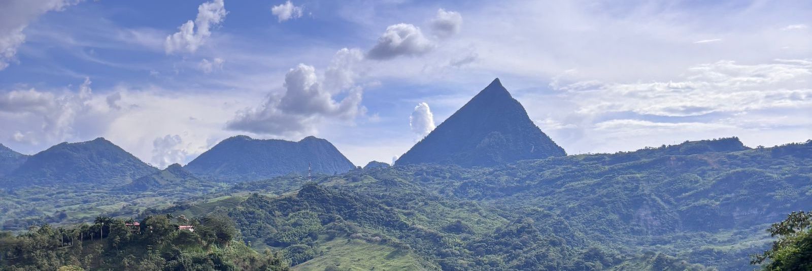 Nathaly Llanes Díaz banner