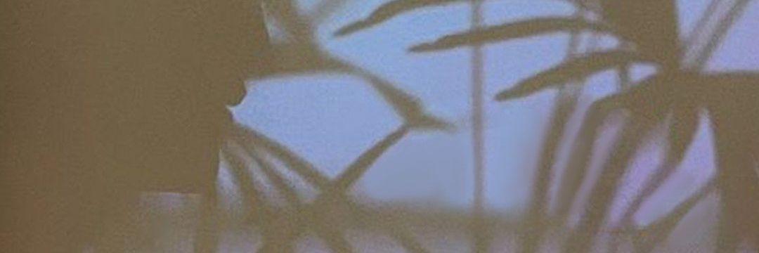 baekclyn's profile banner image