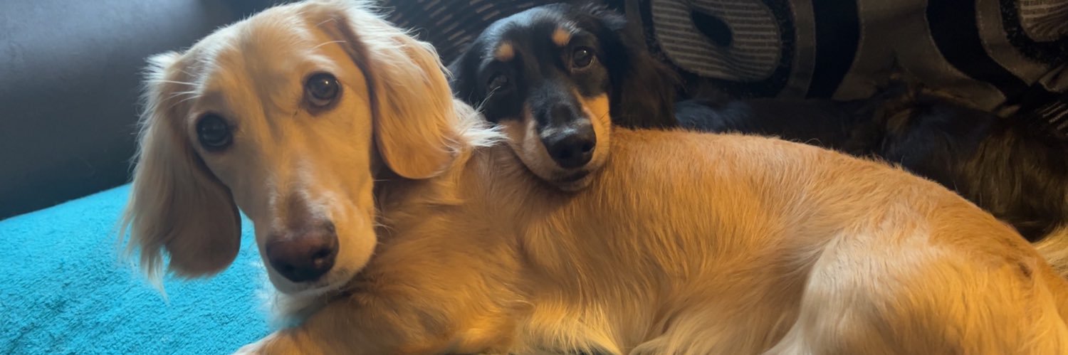 AllWeKnowIsJen's profile banner image