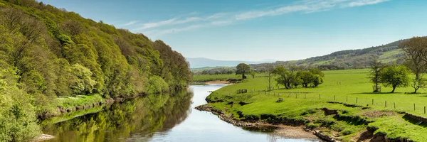 RichSuzi Profile Banner