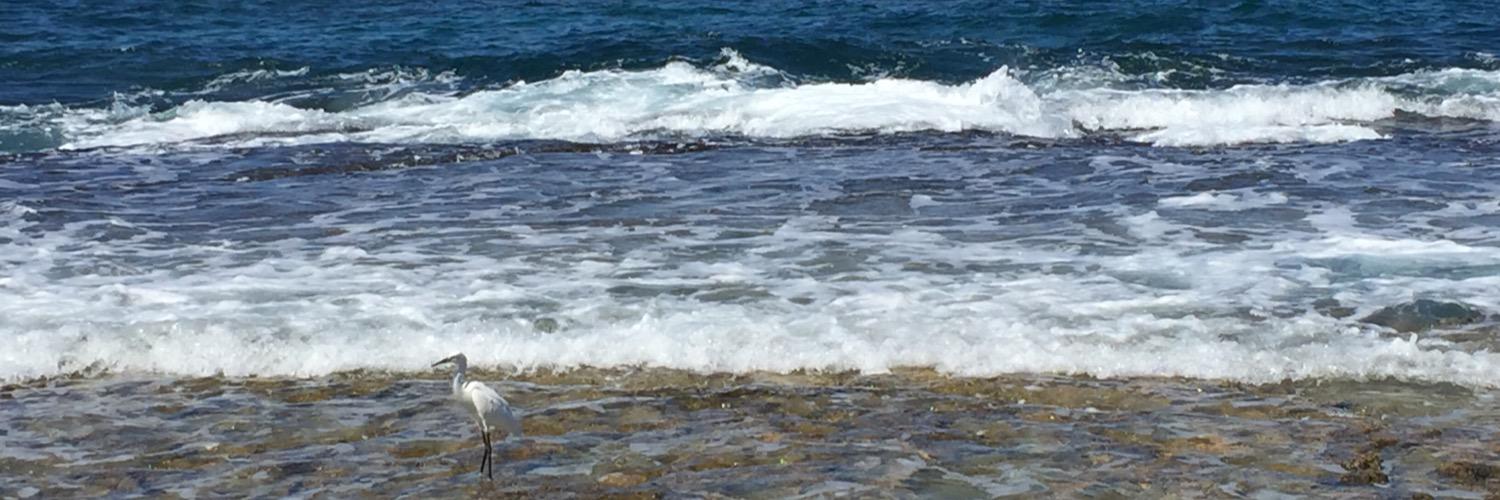 Reut_s's profile banner image