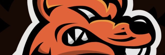 SaneFlow's profile banner image