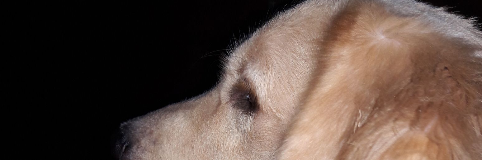 CaykMoreira's profile banner image