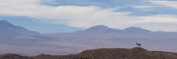 CmapSchuh Profile Banner