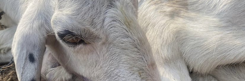 soggse's profile banner image