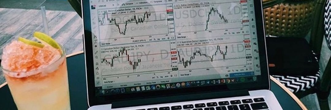 Klin Nelson♟️🦔 banner