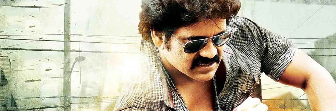 Daya Arjun's banner