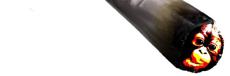 _shxdynxsty's profile banner image