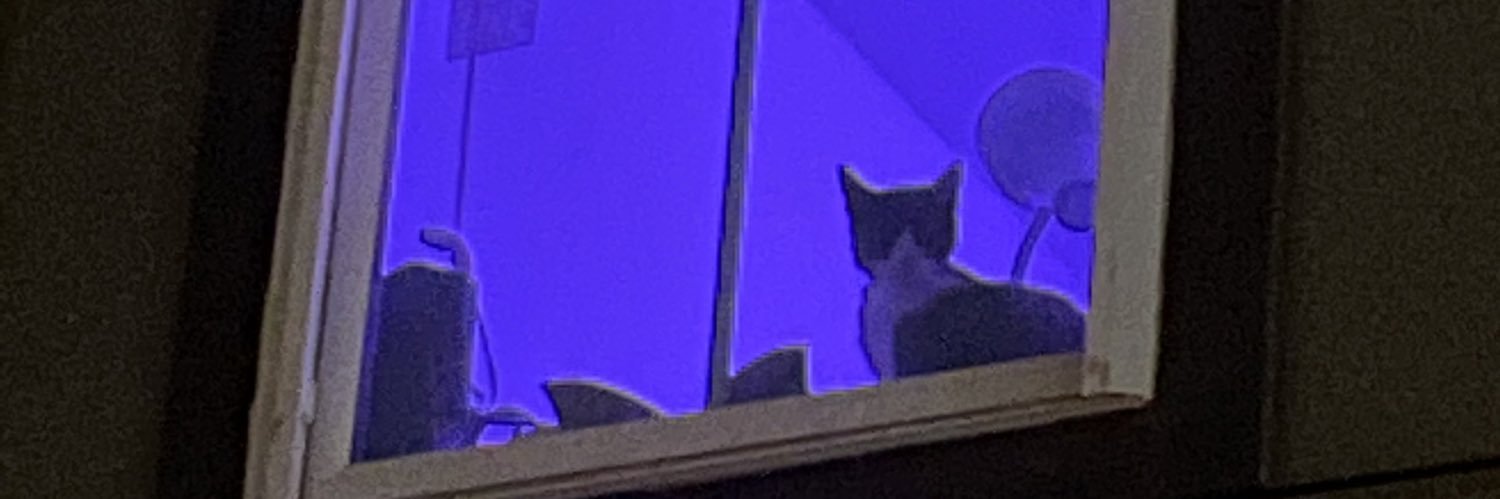 mya eichenlaub🌞 banner