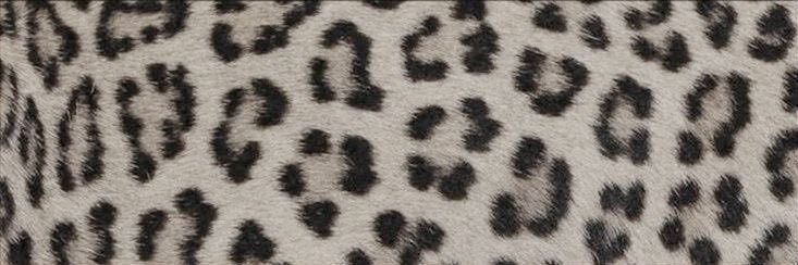 0nickle0's profile banner image