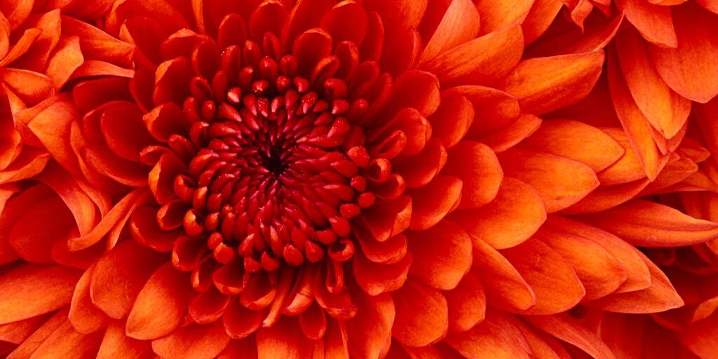 jaykwupi's profile banner image