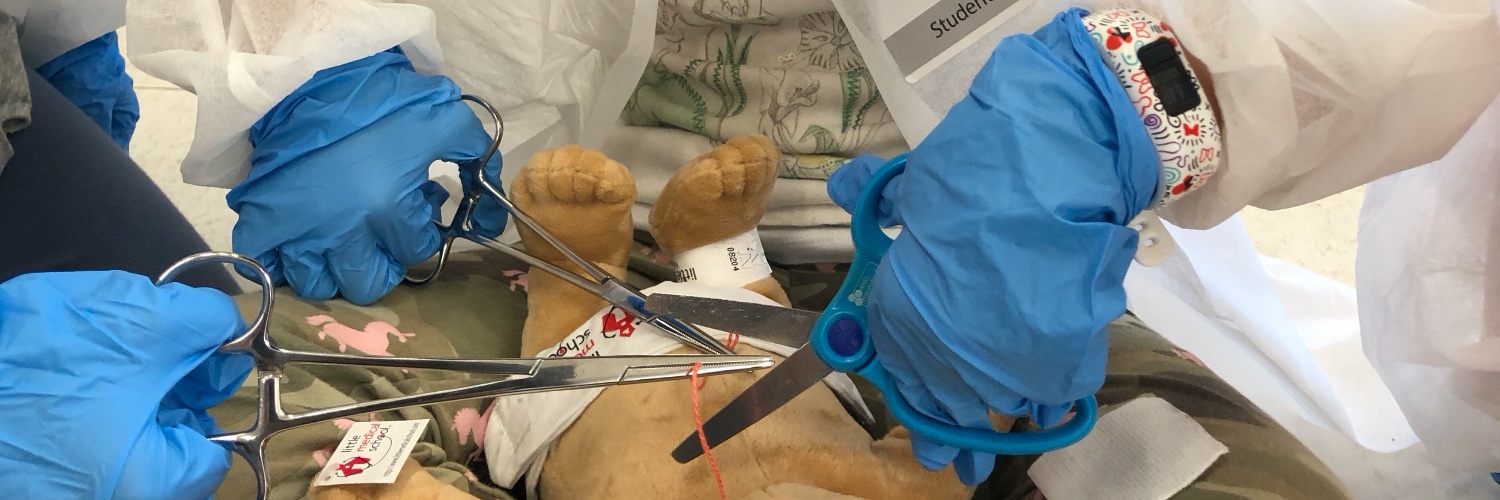 Little Medical School - Ottawa banner