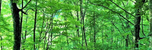 aoyagi_h Profile Banner