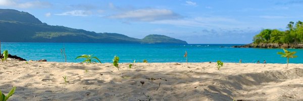 cryptofirewall Profile Banner